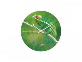 Часы настенные Nicole Time NT503 в Коченёво - kochenyovo.mebel-nsk.ru | фото