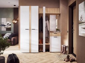 Модульная прихожая Санса (дуб сонома/белый) в Коченёво - kochenyovo.mebel-nsk.ru | фото